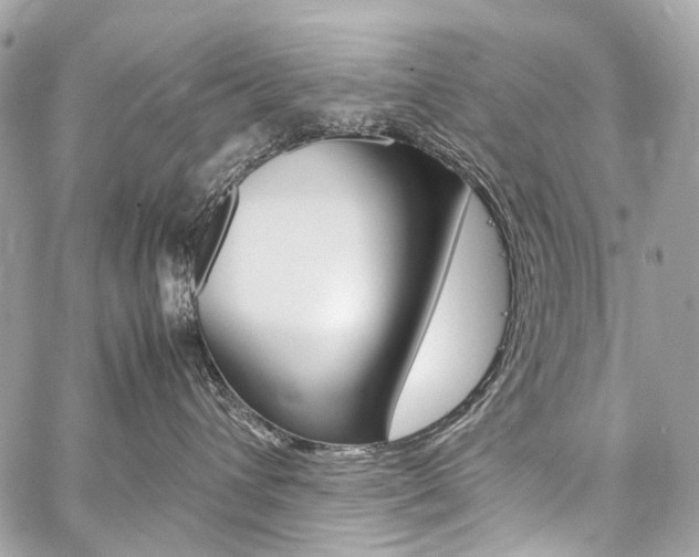 X0000059250432200510140850