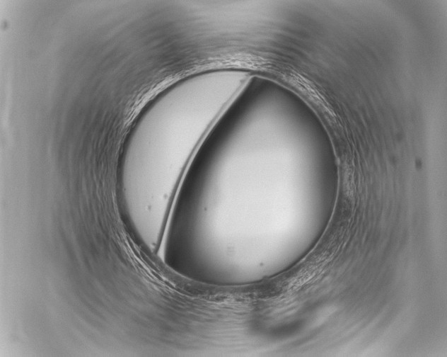 X0000059250434200510140849