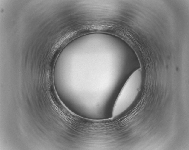 X0000059250444200510140849