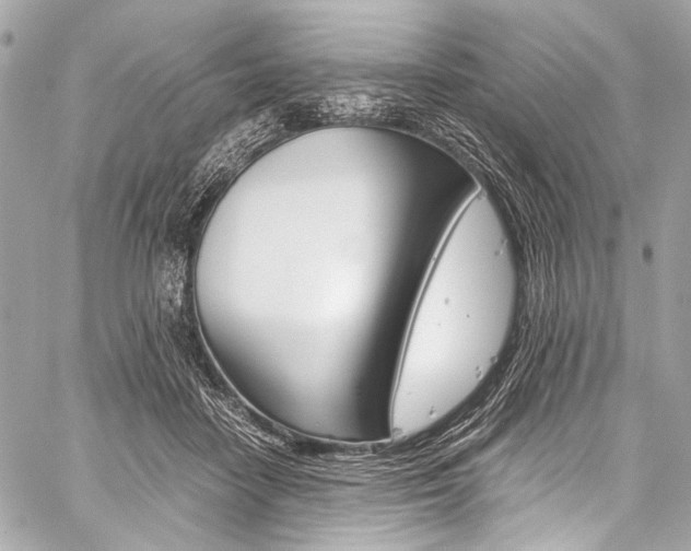 X0000059250458200510140850