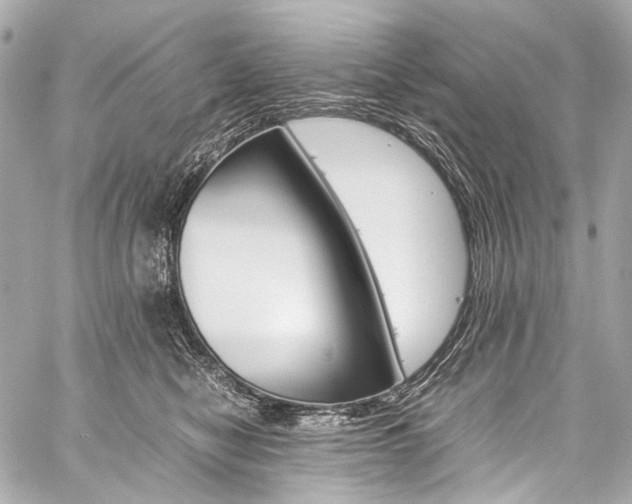 X0000059250470200510140850