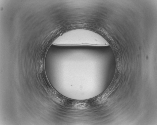 X0000059250471200510140850