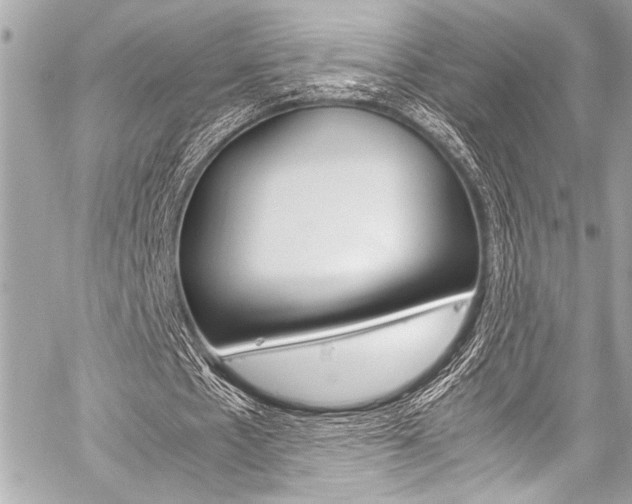 X0000059250481200510140849