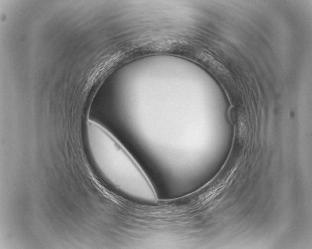 X0000059250493200510140849