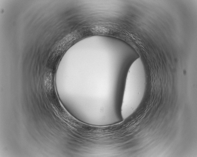 X0000059250498200510140849