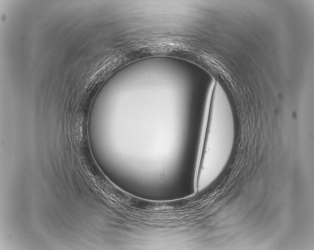 X0000059250501200510140849