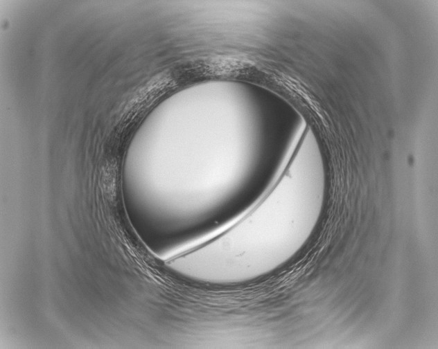 X0000059250505200510140849