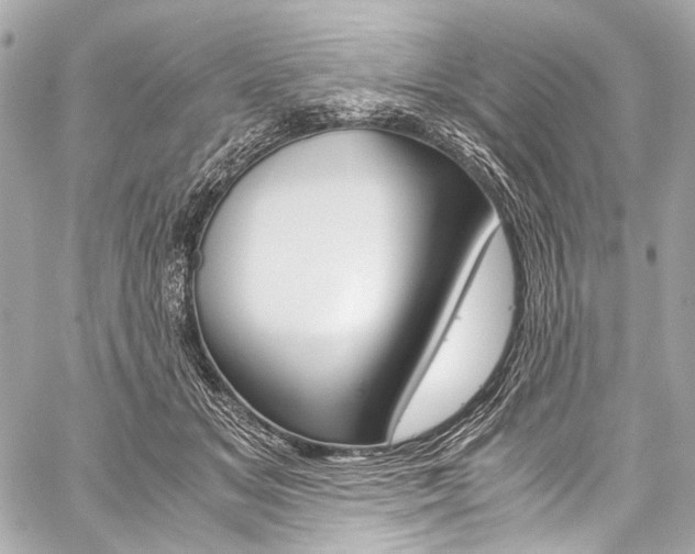 X0000059250509200510140849
