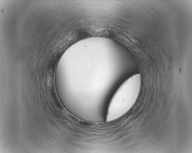 X0000059250515200510140849