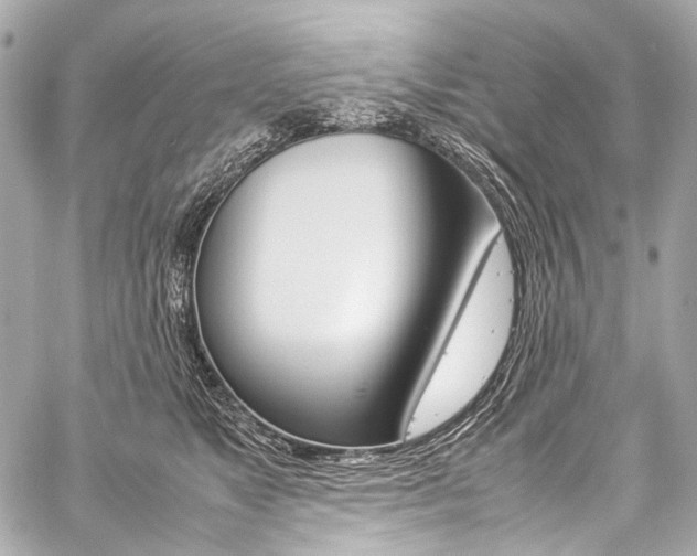 X0000059250517200510140849