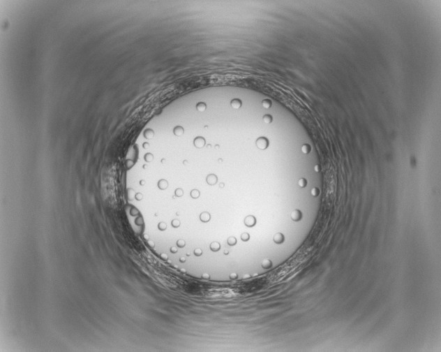 X0000059250519200510140849