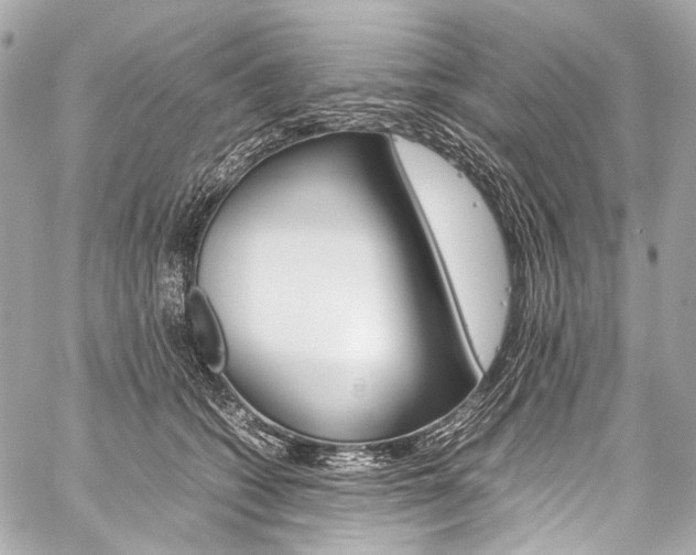 X0000059250562200510140848