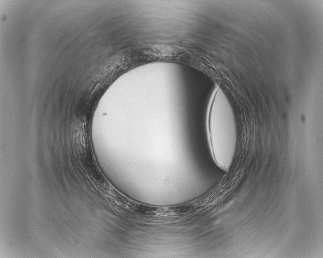 X0000059250612200510140847