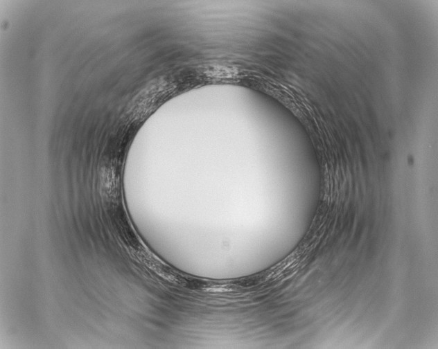 X0000059250614200510140847