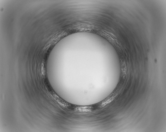 X0000059250622200510140847
