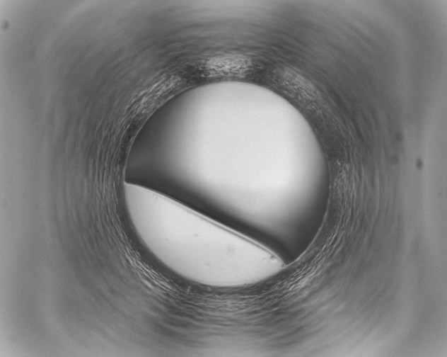 X0000059250649200510140846