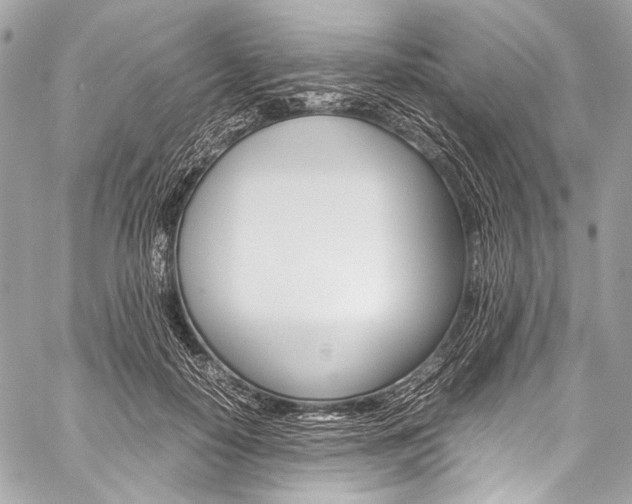 X0000059250650200510140846