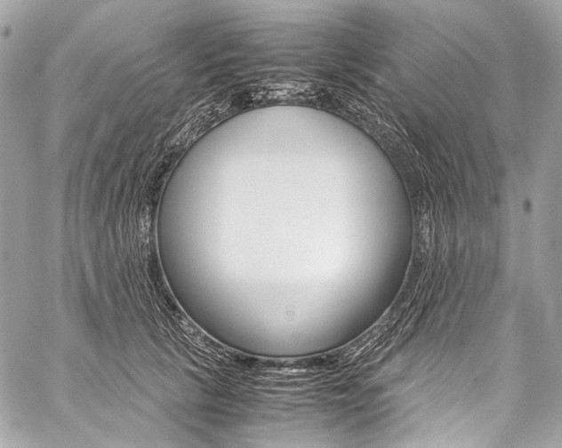 X0000059250657200510140847