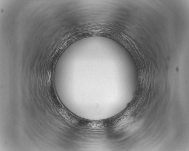X0000059250660200510140847