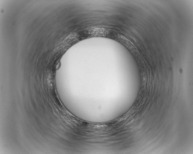 X0000059250663200510140847