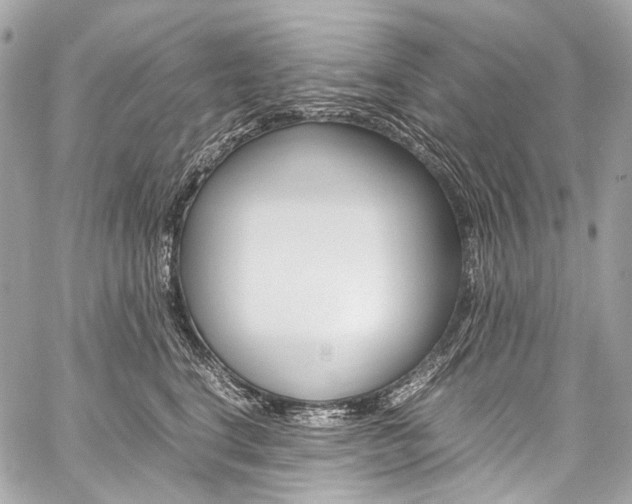 X0000059250664200510140847