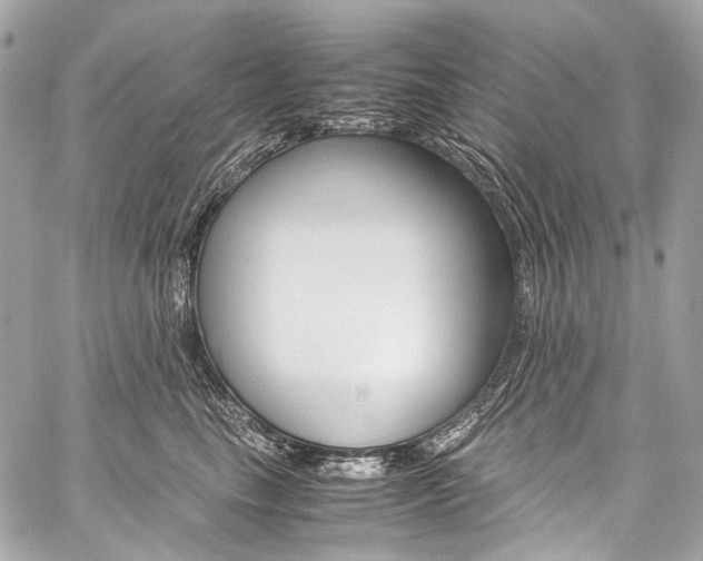 X0000059250665200510140847
