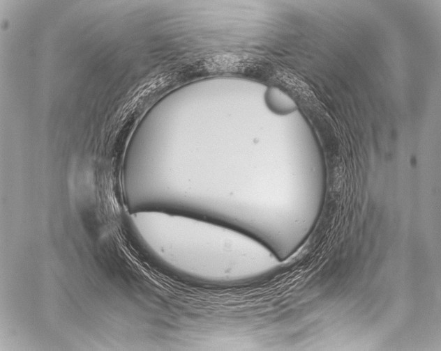 X0000059250687200510140846