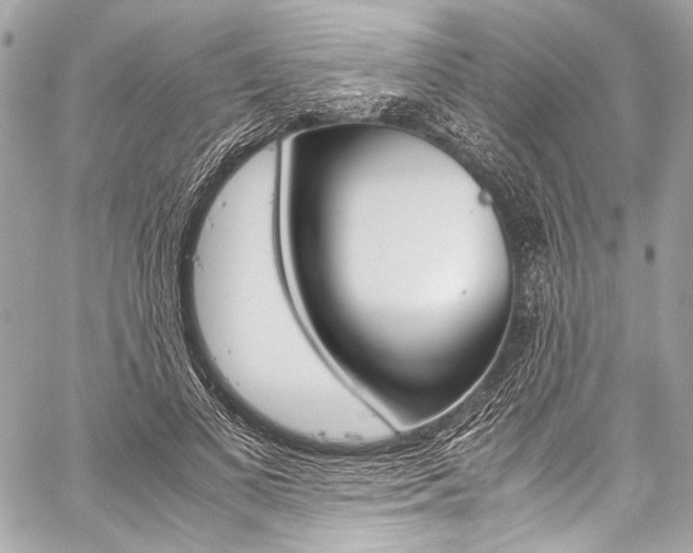 X0000059250693200510140846