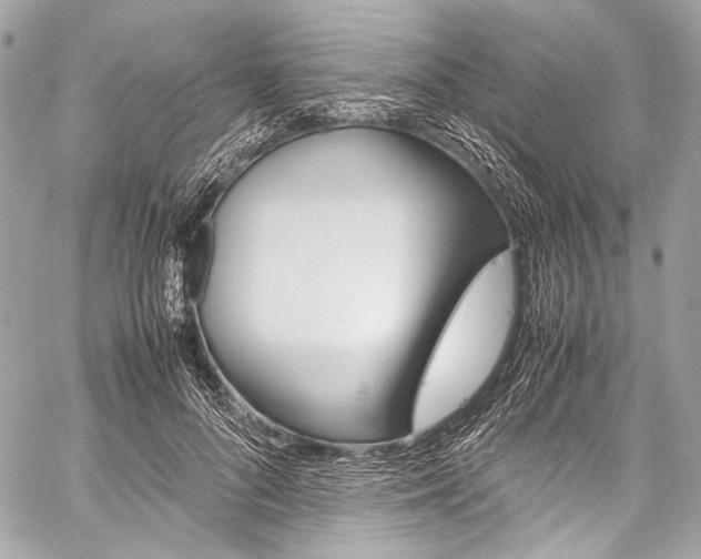 X0000059250696200510140846