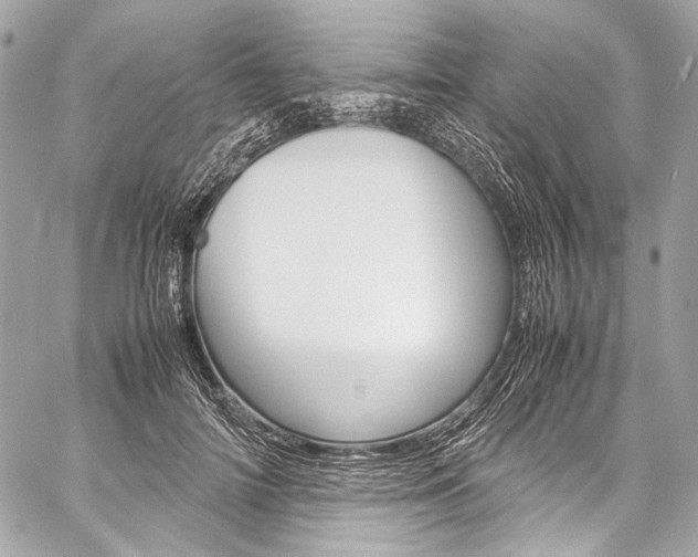 X0000059250698200510140846