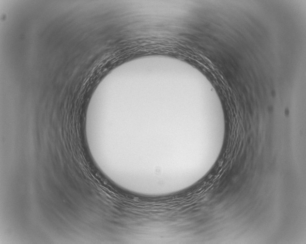 X0000059250701200510140846