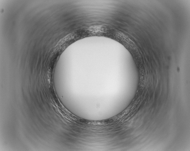 X0000059250710200510140845