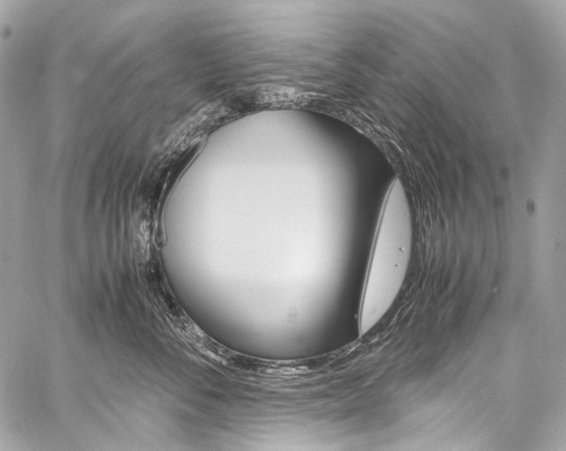 X0000059250716200510140845