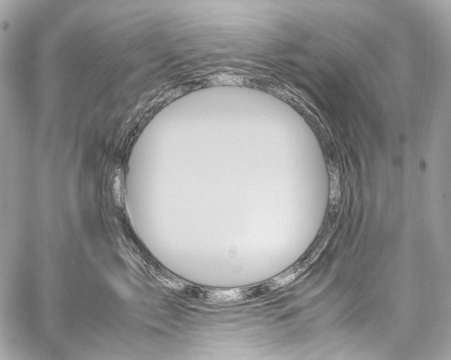 X0000059250717200510140845