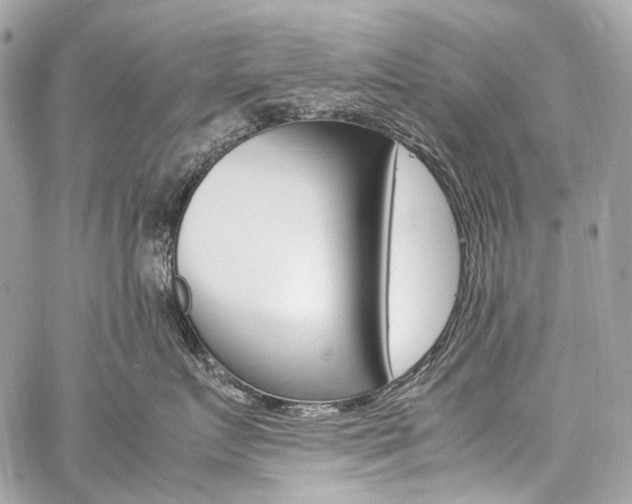 X0000059250719200510140845