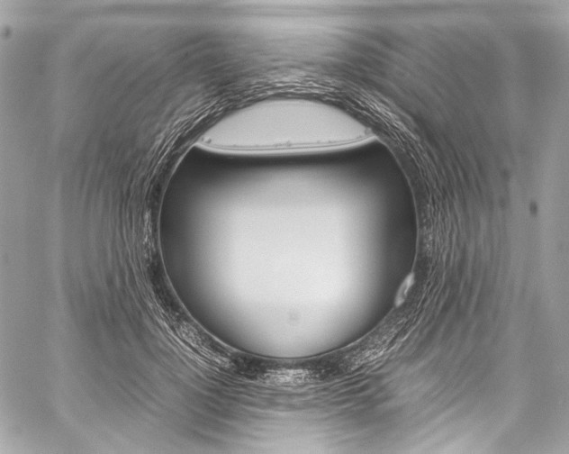 X0000059250748200510140845