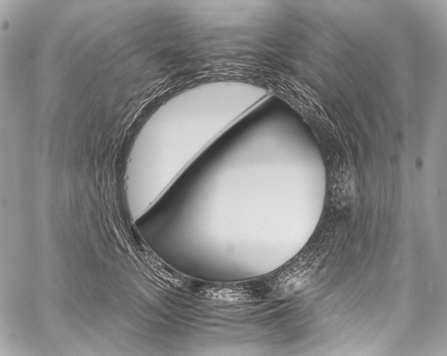 X0000059250755200510140845