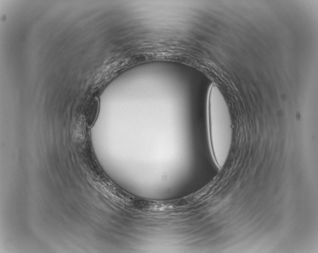 X0000059250760200510140845