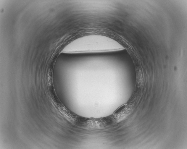 X0000059250764200510140845