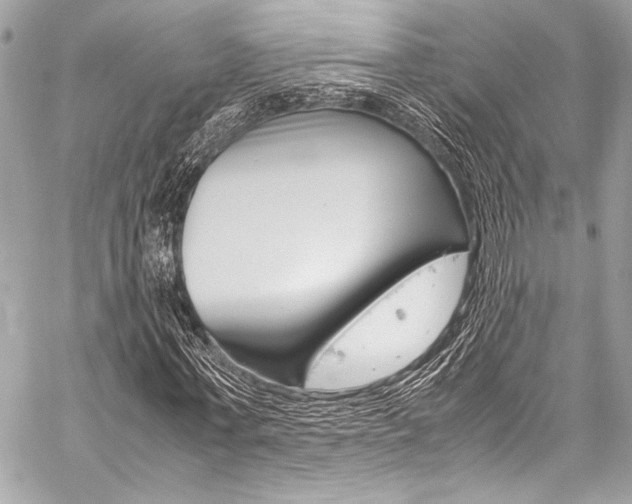 X0000059250771200510140844