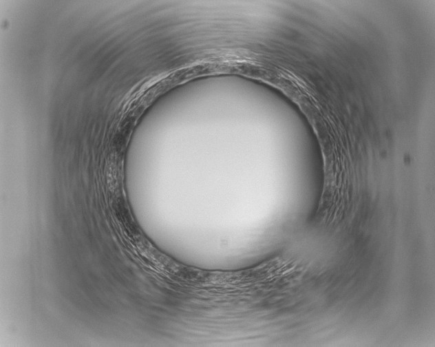 X0000059250773200510140844
