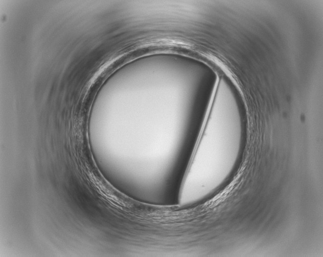 X0000059250783200510140844