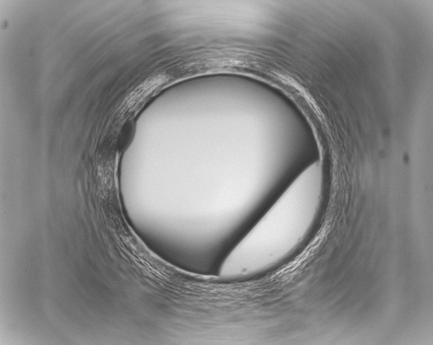 X0000059250785200510140844