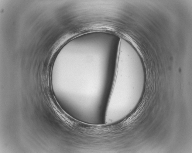 X0000059250795200510140844