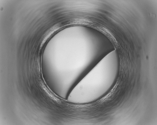 X0000059250796200510140844