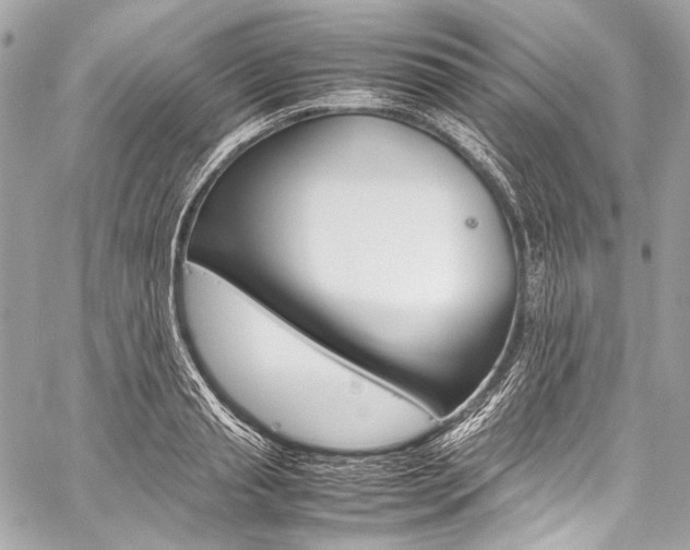 X0000059250845200510140843