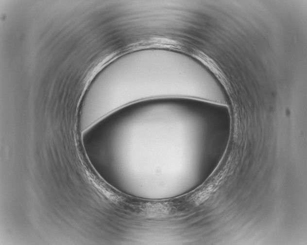 X0000059250850200510140843