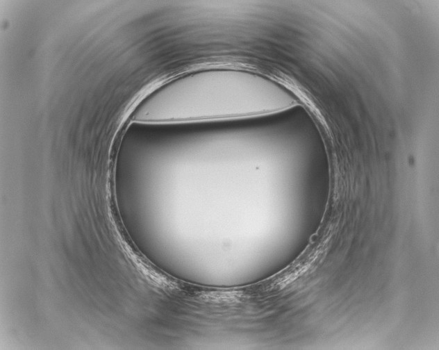 X0000059250853200510140844