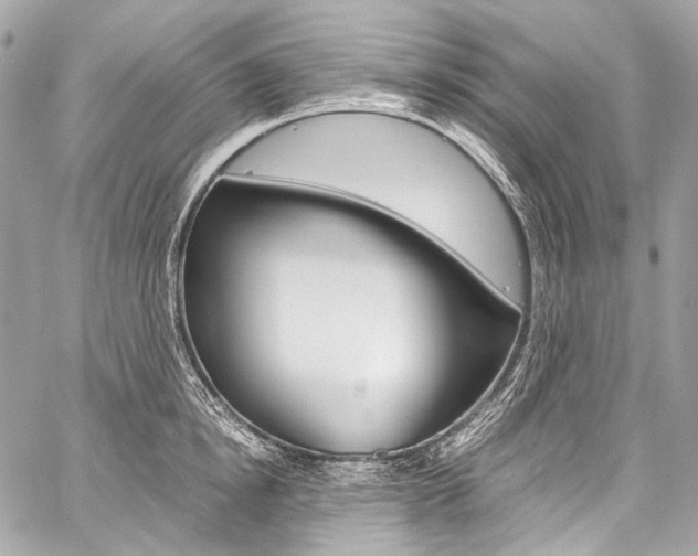 X0000059250854200510140844