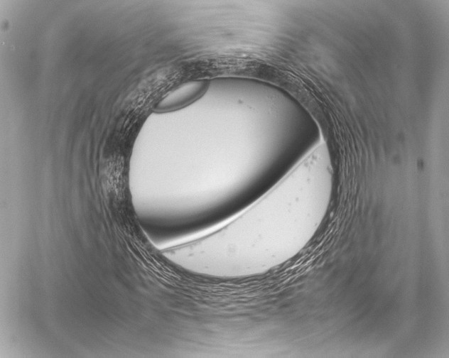 X0000059250867200510140843